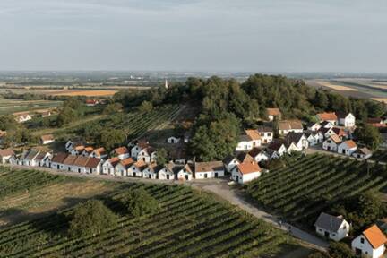 Kellergasse Galgenberg in Wildendürnbach  