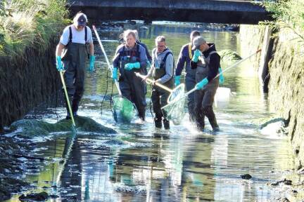 Almabkehr in Salzburg – zuvor müssen die Fische übersiedeln. 