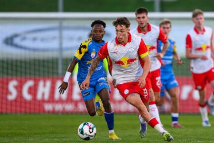 Phillip Verhounig und Co. treten in Niederösterreich an. 