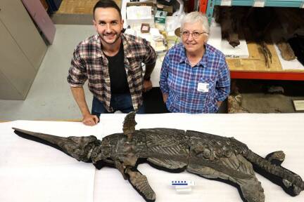 Dr. Dean Lomax (links) und Professor Judy Massare vor dem Skelett des „Schwertdrachens von Dorset“.  