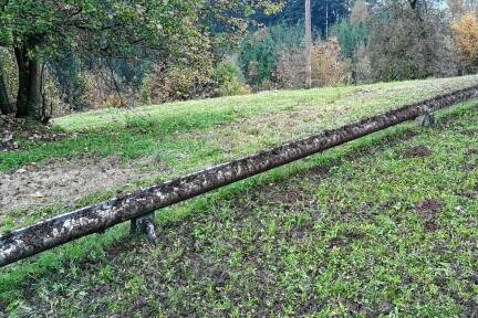 200 bis 300 Meter der Schienen wurden beschmutzt und, so befürchtet man seitens der Abtenauer Bergbahnen, vielleicht auch durch den Dünger beschädigt.  