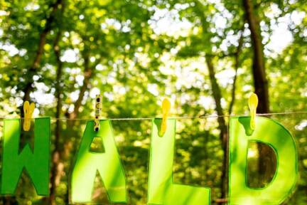 Die EU-Kommission will die Regen beim Entwaldungsgesetz lockern 