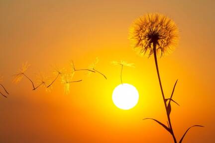 Tod und Trauer sind oft immer noch Tabus in unserer Gesellschaft. 