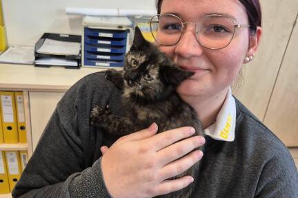 Eine Mitarbeiterin des ÖAMTC in Hallein mit dem Fundkätzchen. Eine weitere Kollegin, die sich gerade in Karenz befindet, hat die kleine Samtpfote aufgenommen. 