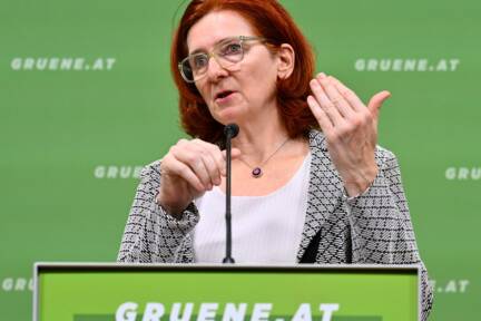 Stagl: Klimaschutz-Investitionen 'ökonomisch rationale' Entscheidung 