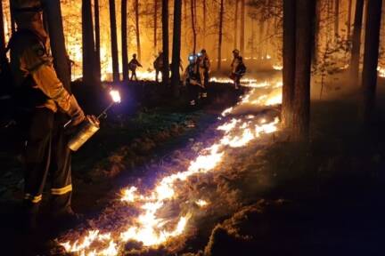 Waldbrandbekämpfung rückt tendenziell weiter in den Fokus 