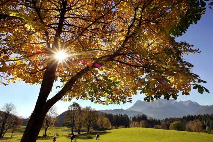 Herbst bei Werfen im Pongau.  
