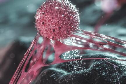 Im Kampf gegen Krebszellen (Symbolbild). 