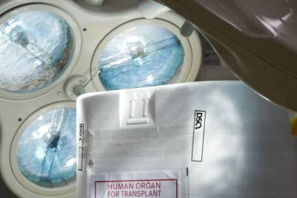 Im Vorjahr wurden in Österreich 637 Organe transplantiert 