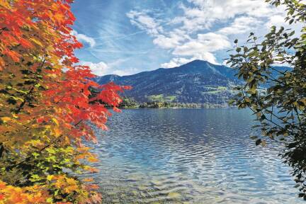 BILD:  eike krenslehner 