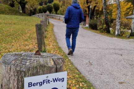  Die 1,4 Kilometer lange Strecke führt vom Rathaus über die Kirche St. Georg bis hinauf zum Adlerhügel. 