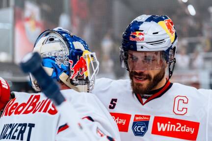 Erleben Sie den amtierenden österreichischen Meister live im Duell gegen Hydro Fehervar. 