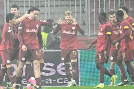 Vertessen (m.) brach in Wals-Siezenheim die Torsperre 