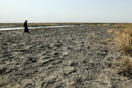 Anhaltende Dürre in der Provinz Dhi Qar im Süden des Landes 