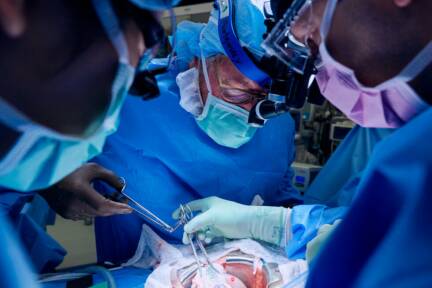 Anzahl der Transplantationen stieg von 1,59 auf 4,59 Millionen 