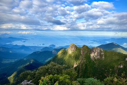 Brasilien gilt als eines der Länder mit der größten Biodiversität der Welt. 