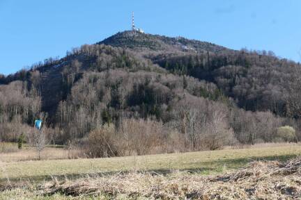 Am Gaisberg finden in den nächsten Tag Holzschlägerungsarbeiten statt.  