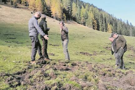 Landesjägermeister Max Mayr-Melnhof hatte beim Lokalaugenschein in Kendlbruck gezielte Jagdtipps parat. 