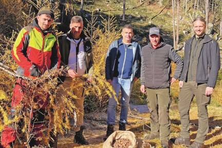 Von links: Erntemitarbeiter Ovidiu-Ionut Corbu, Stefan Palffy, Bezirksförster Martin Lohfeyer, Forstunternehmer Fritz Kreuzer, Dominik Posch. 