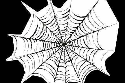 Exemplare der in Europa extrem seltenen Chilenischen Einsiedlerspinne haben sich in zwei Kellern der Universität Tübingen eingenistet. 