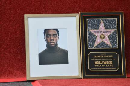 'Black Panther'-Star starb 2020 an Krebs 