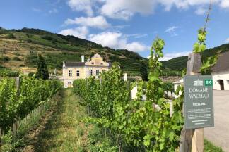 In den Kellereien des barocken Schlössels der Domäne Wachau wurde Geschichte geschrieben. 