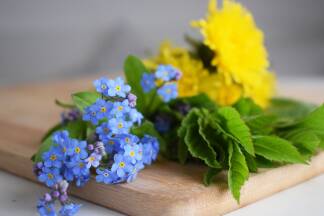 5) Beinwell, Ringelblume oder Hauswurz eignen sich besonders gut. Die abgekühlte Mischung wird wieder erwärmt, die Kräuter dann durch ein Sieb gegossen. 5) Beinwell, Ringelblume oder Hauswurz eignen sich besonders gut. Die abgekühlte Mischung wird wieder erwärmt, die Kräuter dann durch ein Sieb gegossen.