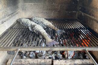 Huchen und Bachforelle gegrillt. Etwas Olivenöl und Zitronensaft - sonst nix.  