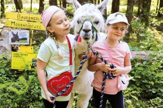 Wenn die Tiere Vertrauen fassen, darf man sie auch vorsichtig berühren. Wenn die Tiere Vertrauen fassen, darf man sie auch vorsichtig berühren.