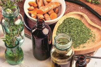  Vortrag 4: Pflanzenheilkunde 