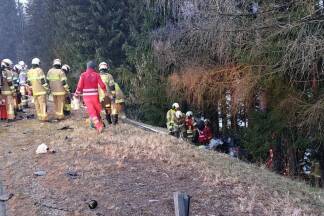 Eines der Fahrzeuge wurde bei dem Unfall von der Fahrbahn in einen angrenzenden Wald geschleudert. 