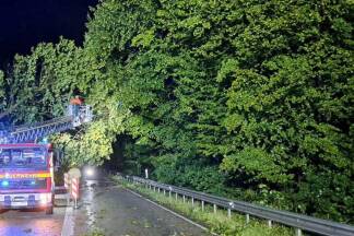 Auch in Freilassing im benachbarten Bayern waren die Feuerwehren gefordert: Die Feuerwehrleute wurden im Stadtgebiet zu 16 Einsätzen gerufen. Dabei handelte es sich hauptsächlich um umgestürzte und abgebrochene Bäume. Ein Einsatzschwerpunkt war dabei die Bundesstraße B20. 