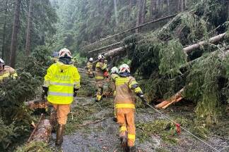 Die Feuerwehr Uttendorf musste umgestürzte Bäume von der Zufahrtsstraße entfernen.  