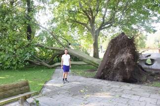 Amtsleiter Roland Oberhauser vor einem entwurzelten Baum im Lepi. 