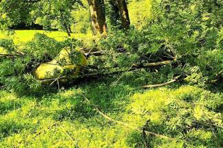 Kunstwerk fiel im Park von Schloss Arenberg auf den Boden: Ein umstürzender Baum riss die auf dem Nachbarsbaum hängende Bronzeplastik von Tobias Ballaty mit.  