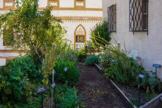 Den Festungsgarten legte Helene mit Kräutern an, die ausschließlich auch im Mittelalter wuchsen. 