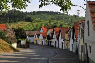 Falkenstein 