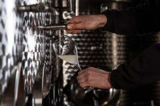 Fassprobe vom Franciacorta. 
