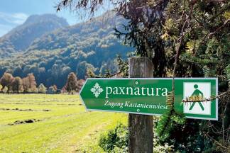 Naturbestattung am Fuße des Untersbergs.  