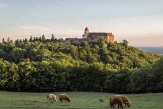 Landmark seit dem 13. Jahrhundert: Burg Bernstein. Landmark seit dem 13. Jahrhundert: Burg Bernstein.
