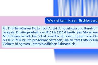 Wirre Antworten der AMS-KI. Auch sexistische Stereotype werden kritisiert.  