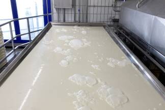 In dieser Wanne wird Milch durch Labzugabe eingedickt. 