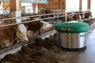 Maschinelle Unterstützung bekommt der Landwirt auch in Form eines Futteranschiebers. 