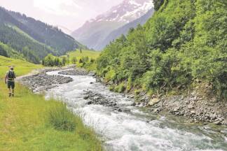 Die Wanderung entlang des Hollersbaches im Tal mit selbigem Namen – mit Nationalpark-Ranger Werner Schuh – entschleunigt.  