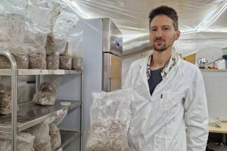 Pilzzüchter Sebastian Reindl in seinem Reinraum in Schleedorf. 