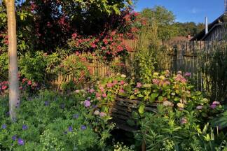 Zwischen Mai und Juli blüht der Garten am buntesten. 