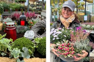 Ulrike Hitzl ist im Lagerhaus Grödig Leiterin der Gartenfachabteilung. Derzeit kommen viele, die zu Allerheiligen perfekt gepflegte Gräber haben wollen.  Ulrike Hitzl ist im Lagerhaus Grödig Leiterin der Gartenfachabteilung. Derzeit kommen viele, die zu Allerheiligen perfekt gepflegte Gräber haben wollen.