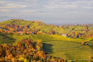 Weingarten Kitzeck Weingarten Kitzeck