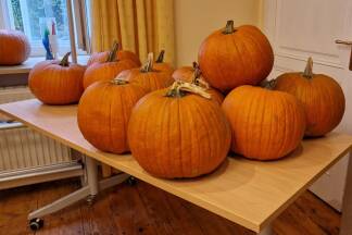 Die Hokkaido-Kürbisse warteten auf eine Gesichtsbehandlung. 