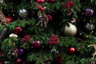 Wenn der erste Stern am Himmel zu sehen ist, beginnt das Mahl.  Wenn der erste Stern am Himmel zu sehen ist, beginnt das Mahl.